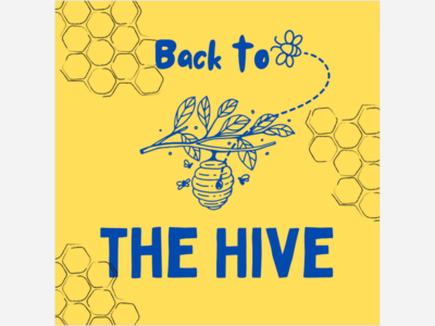 BACK TO THE HIVE: Katelynn Perno's Advice They Wish They Had in High School