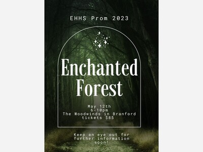 Prom is Approaching: Date or No Date?