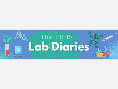 Lab Diaries: November